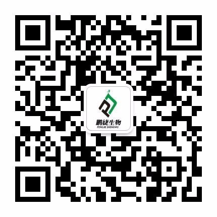 鹏婕辣木基地于九十年代初，就已联合云南林科院、云南中草药研发中心共同探究辣木种植技术及研发辣木系列深加工产品，鹏婕辣木系列产品于2015年4月正式投放市场，同年与中国食品报（广东站）签署了“战略合作协
