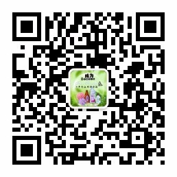 
绿色、健康、环保、新型家居清洁产品，洗涤产品，日化用品批发。厂家直销、贴牌生产。主要产品洗衣球、干衣球、衣物清洁膏、多功能厨房去污皂、油污清洁剂等。