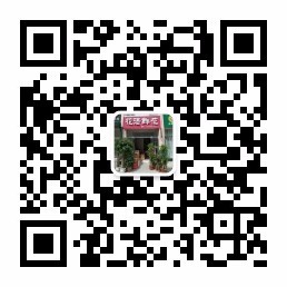 汶上花语鲜花，以花为媒，代您送花、替您赠言，用心呵护每一朵花...