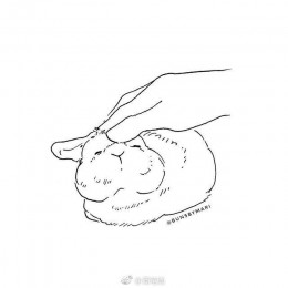 俗话说的好，
没有态度的段子手，
无法保护好自己的女人，
所以讲段子我是认真的。
