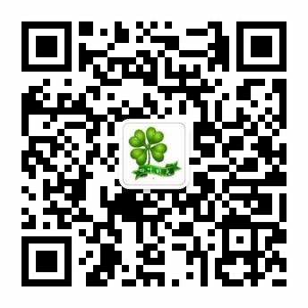 小说、旅游