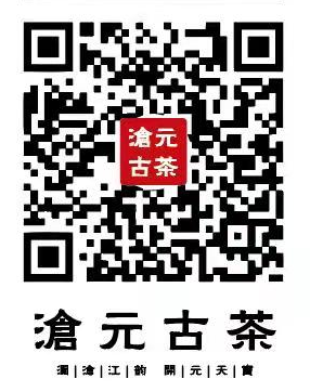 沧元古茶