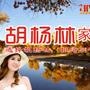 胡杨林品牌推广,征对全国各地经销客户的订单、发货、售后等一条线跟踪服务.

认证：该帐号服务由成都胡杨林家具有限责任公司提供.

最近文章：普京这样训苹果:一部烂苹果6,简直就是侮辱,如此歧视中国大陆