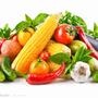 提供蔬菜作物解决方案,提高蔬菜品质,种品质蔬菜,享健康生活.

最近文章：习得一流农场服务工作计划
